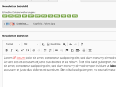 Seiteneigenschaften: Reiter Newsletter Intro