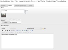 Bildunterschrift Editor Auf diesem Bildschirmfoto ist der Rich Text Editor zu sehen, der zum Bearbeiten von Bildunterschriften benutzt werden kann.