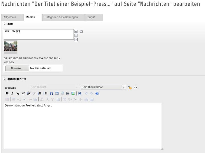 Auf diesem Bildschirmfoto ist der Rich Text Editor zu sehen, der zum Bearbeiten von Bildunterschriften benutzt werden kann.